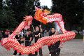China2010 1   026